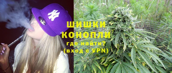 мет Ладушкин
