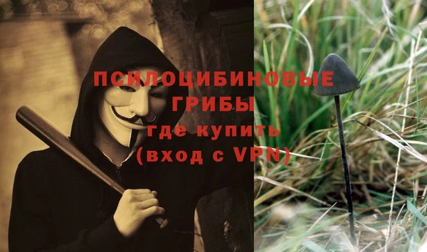 мет Ладушкин