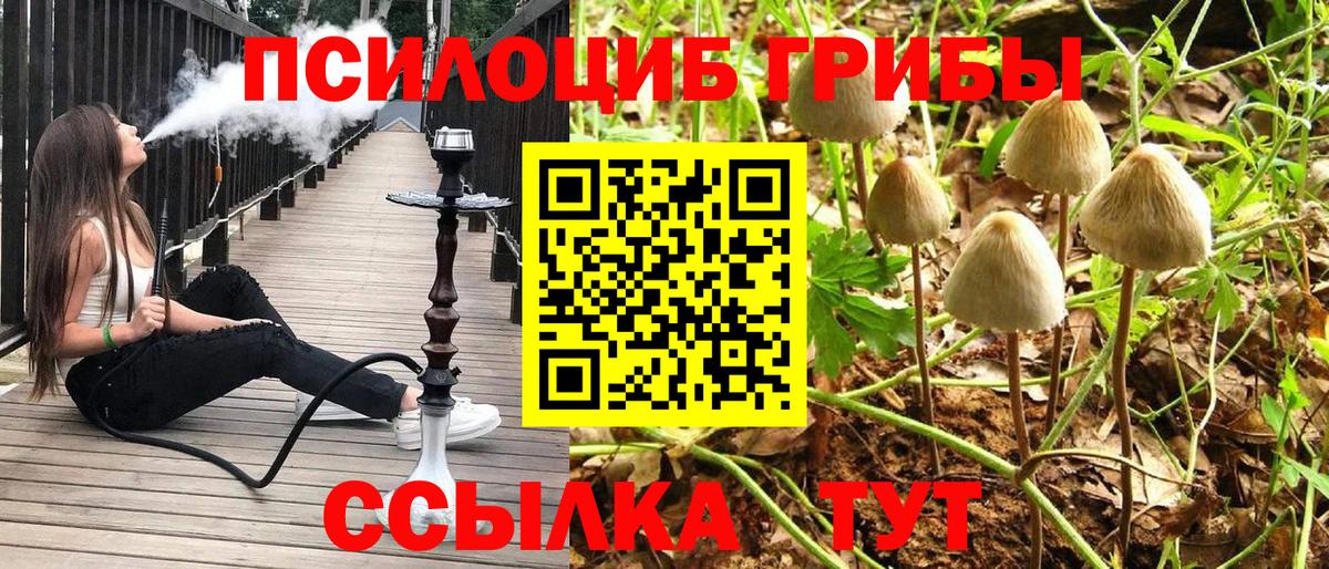 Красноуфимск  Псилоцибиновые грибы мухоморы  Вход с VPN 
