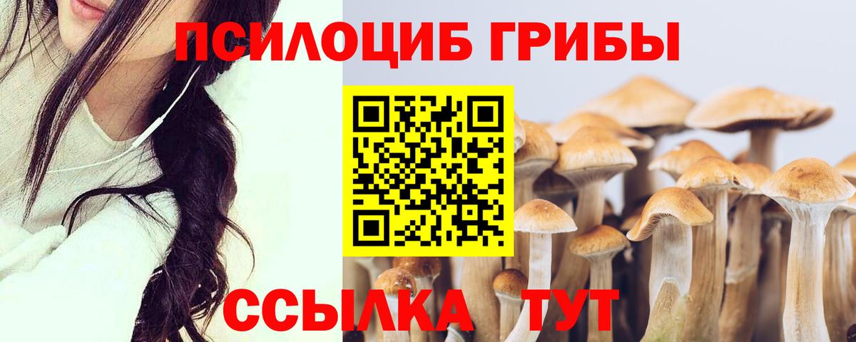 Псилоцибиновые грибы MAGIC MUSHROOMS Красноуфимск